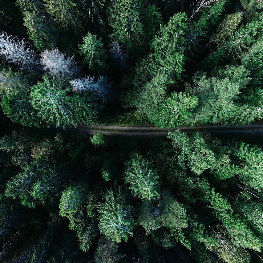 Photo by Geran de Klerk