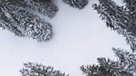 Bird eye’s view!, by Kimon Maritz